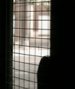 01003.png