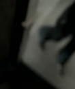 01030.png