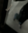 01035.png