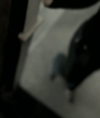 01036.png