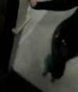 01038.png