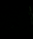00509.png