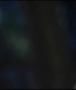 Filename=0220.png
Filesize=109KiB
Dimensions=768x576
Date added=Apr 28, 2013 0220.png
