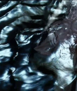 0409.png