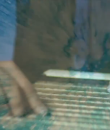 0042.png