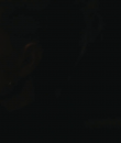 0376.png