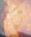 0868.png